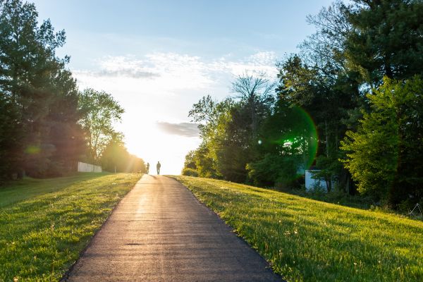Cost of Asphalt Pathway Installation in West Palm Beach