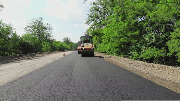 Cost of Custom Asphalt Paving in West Palm Beach