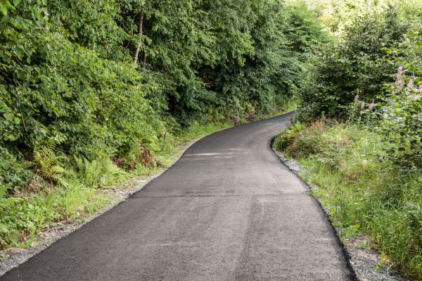 Cost of Asphalt Driveway Replacement in West Palm Beach